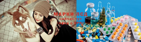 крисы Горняк