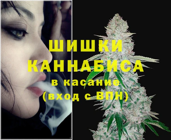 ГАЛЛЮЦИНОГЕННЫЕ ГРИБЫ Вязьма