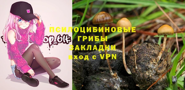 крисы Горняк
