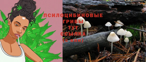 не бодяженный Горнозаводск