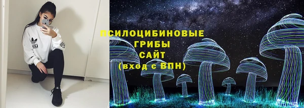 мдпв Горно-Алтайск