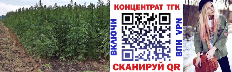 ТГК концентрат  ссылка на мегу ссылка  Данков  где найти наркотики 